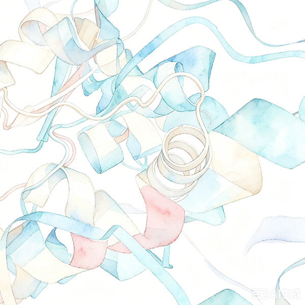 Protein molecule